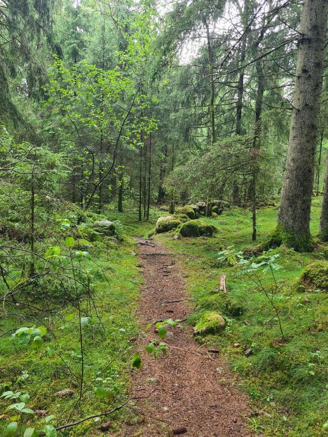 Stuga I Naturen Simlångsdalen المظهر الخارجي الصورة