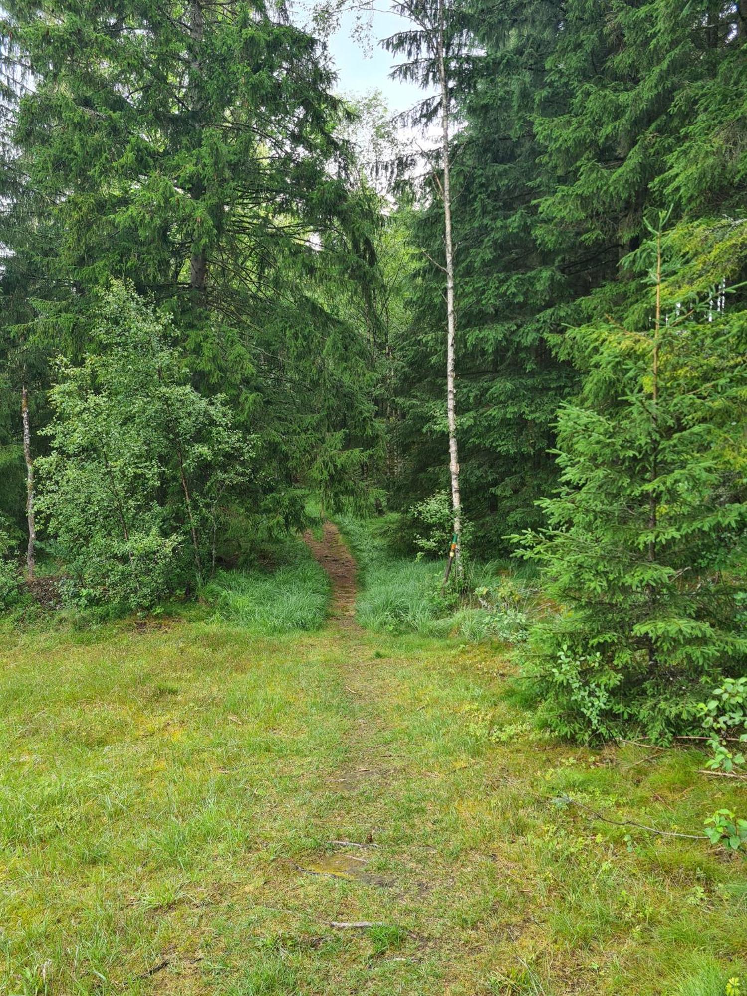 Stuga I Naturen Simlångsdalen المظهر الخارجي الصورة